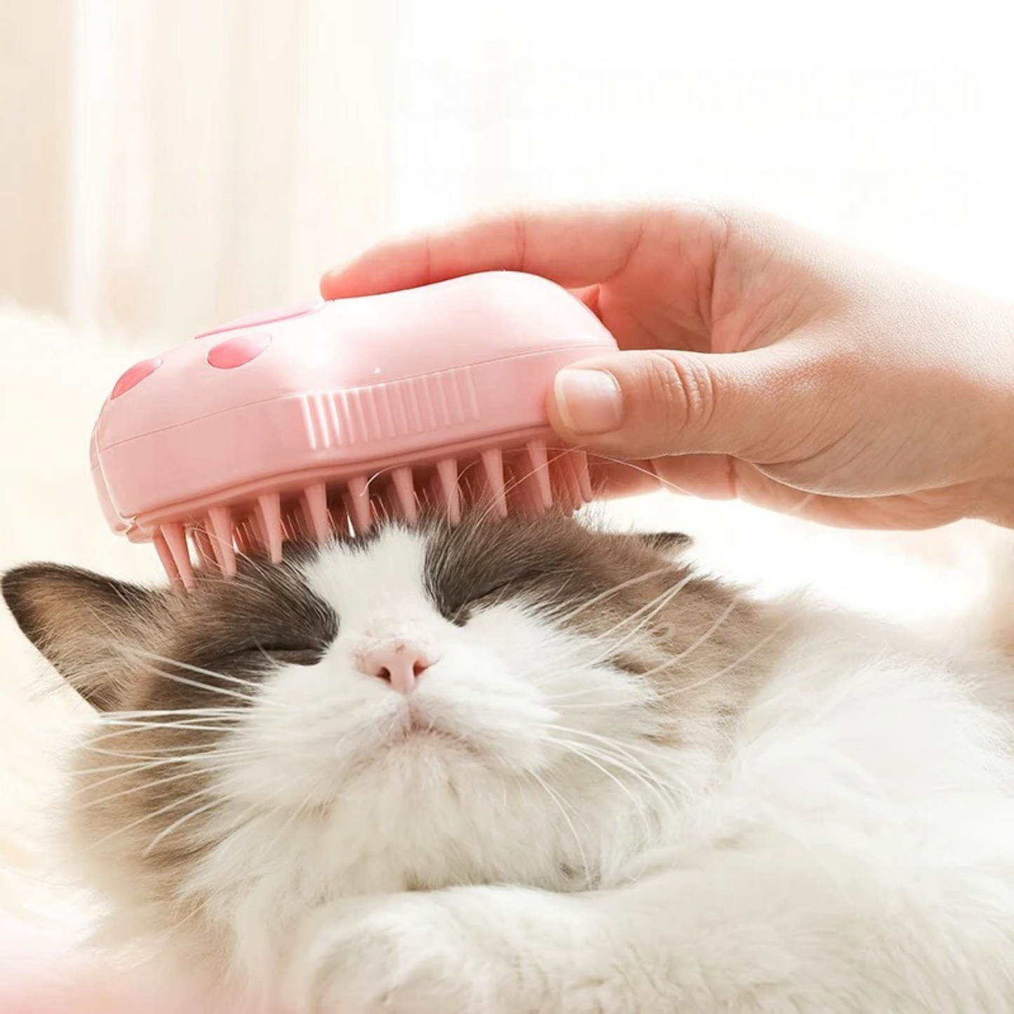 PetSpa Steam Grooming Brush