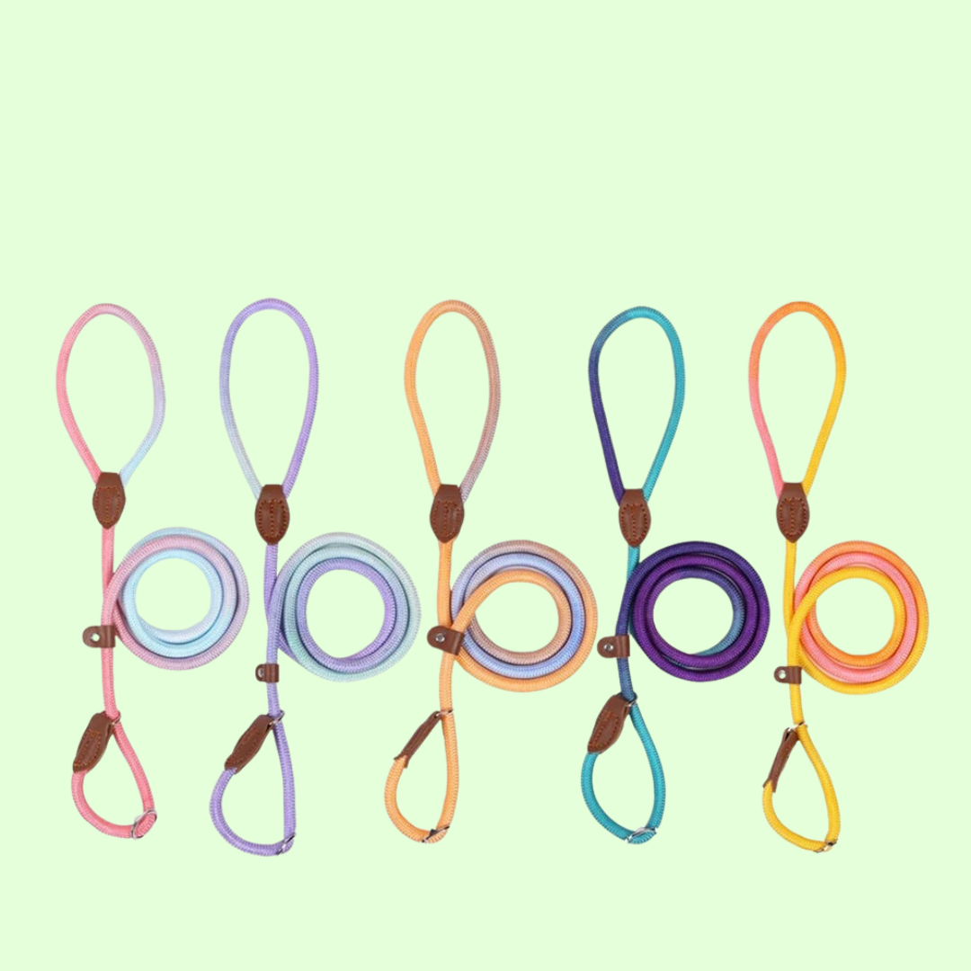 Nylon Leashes