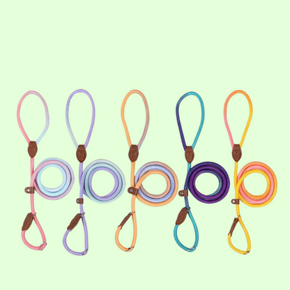 Nylon Leashes