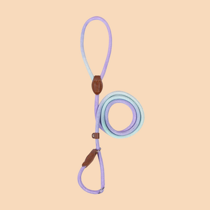 Nylon Leashes